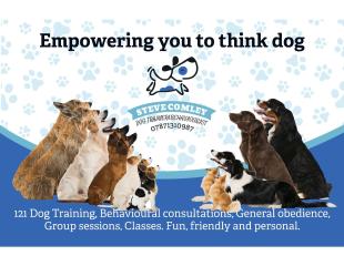 Logo for Steve Comley, lots of dogs sitting still.