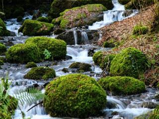 Waterfall on Dartmoor