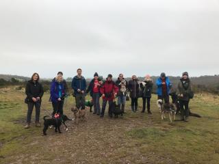 Group on a Waggy Walk
