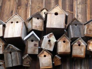 Lots of wooden bird boxes