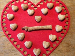 Finished dog biscuits displayed on a heart background