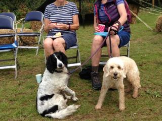 A photo of two visitors to Dawlish Countryside Park, sat on chairs with their dogs sat in front of them on the ground