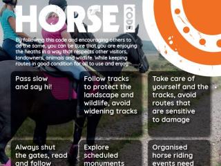 Pebblebed Horse Code Poster
