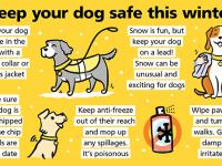 Dogs Trust information poster