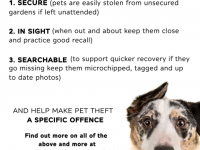 Poster about the Protect Your Pooch campaign