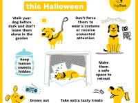 Halloween advice for keeping dogs safe at this time of year.