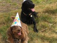 Maisie and Patti in their party hats