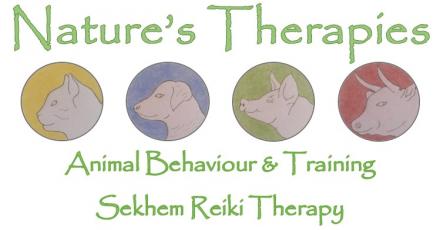 Logo for Nature's Therapies