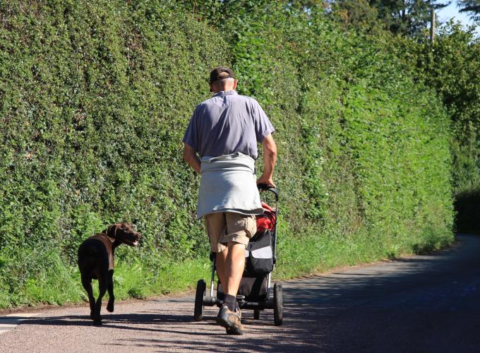 Man walking his dog, pushing a pushchair