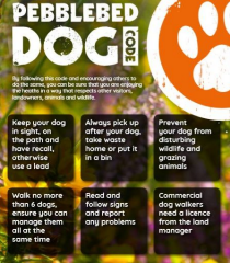 Front Cover of the Pebblebed Dog Code