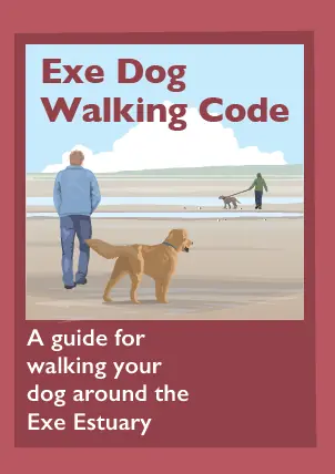 Exe Dog Walking Code