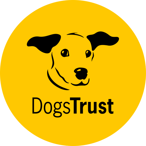 Dogs Trust Dog School