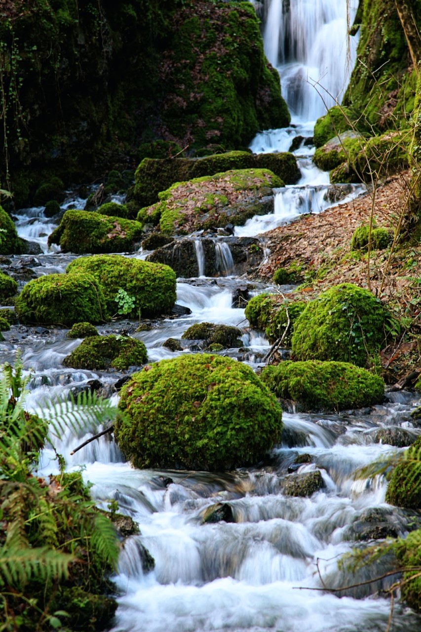 Canonteign Falls