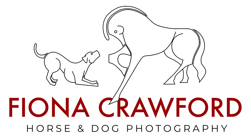 Fiona Crawford Horse & Dog Photography