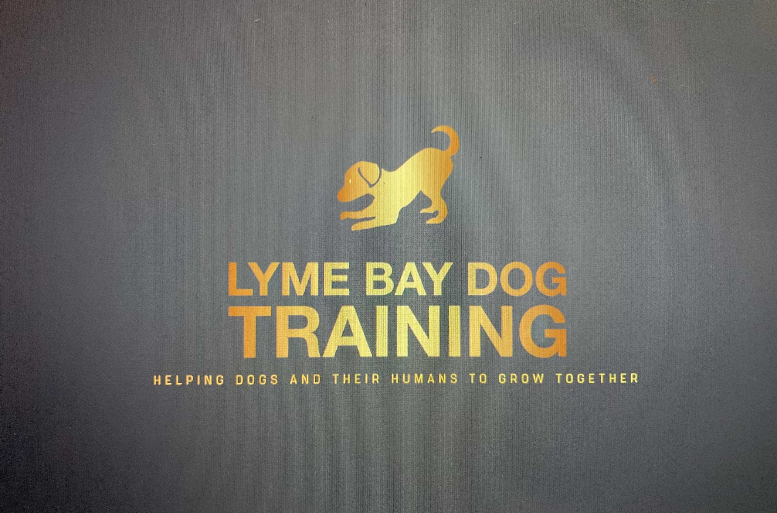 Lyme Bay Dog Training