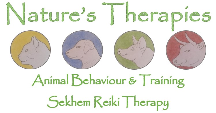 Nature’s Therapies