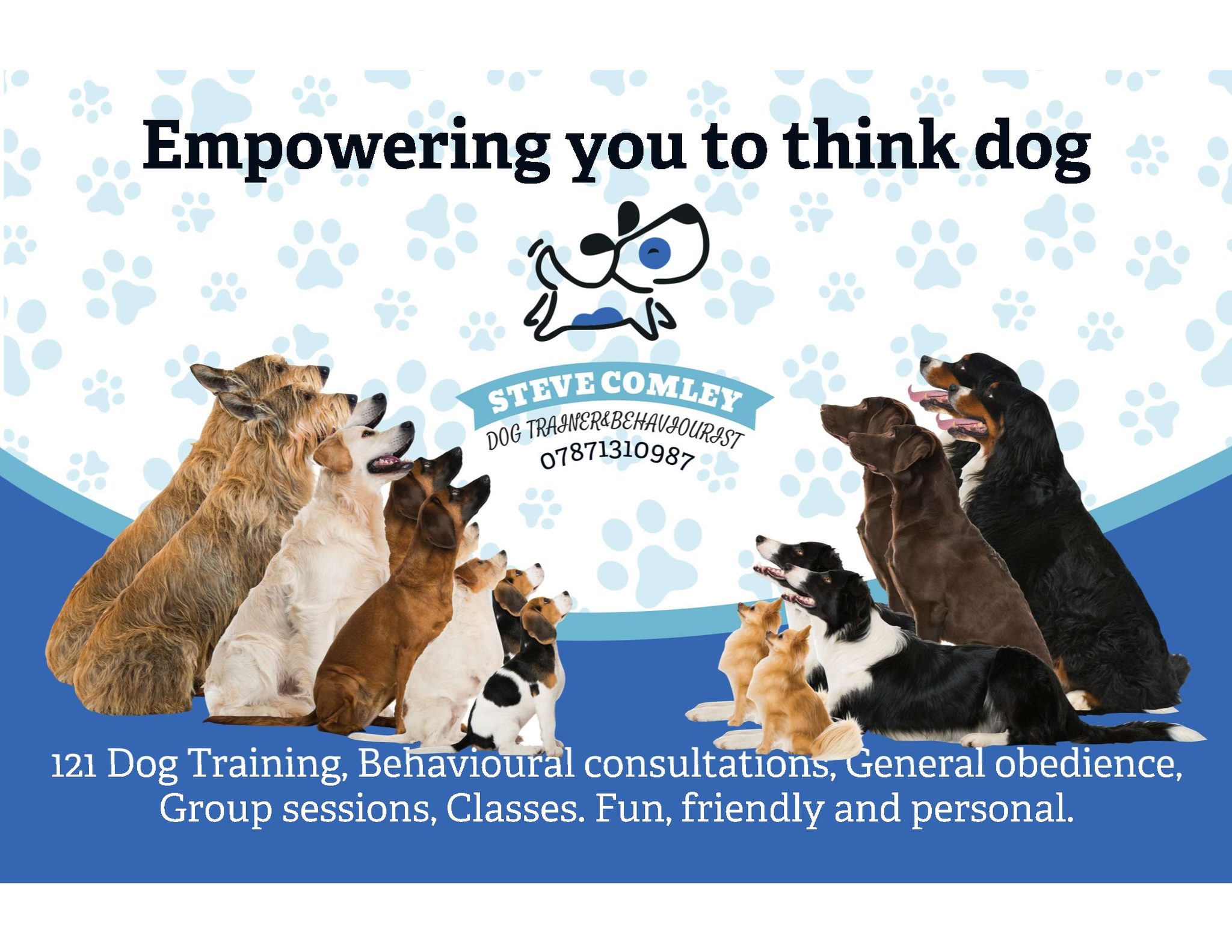 Steve Comley Dog Trainer & Behaviourist