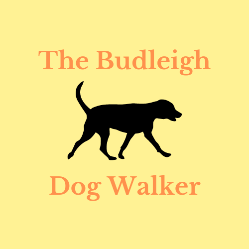 The Budleigh Dog Walker