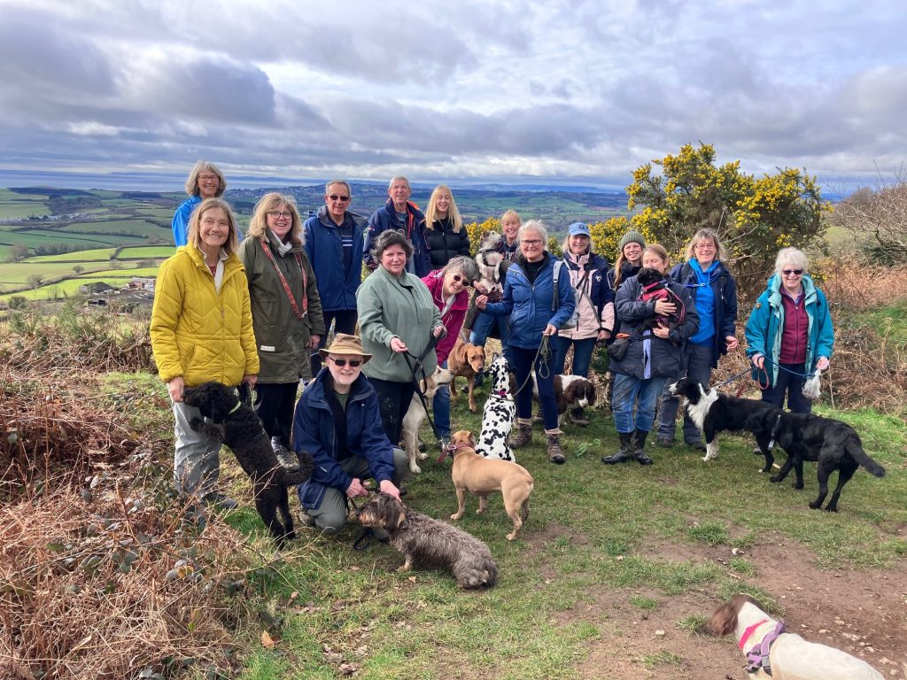 Group of waggy walkers enjoying the view from Mutters Moor.